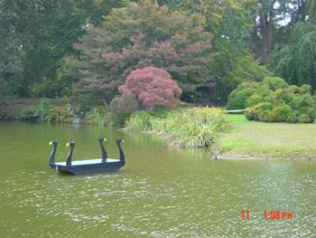 DSC00418