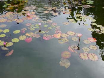DSC00428