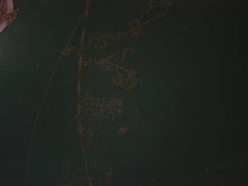 DSC00462
